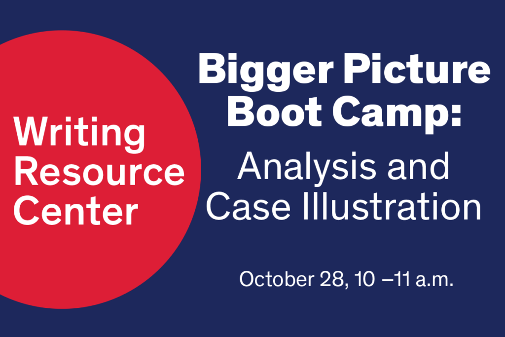 Bigger Picture Boot Camp : Analysis and Case Illustration