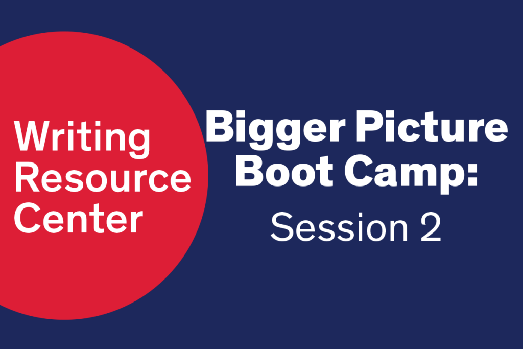 Bigger Picture Boot Camp : Session 2